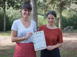 Elles il·lustren la Flora medicinal de les Illes Balears