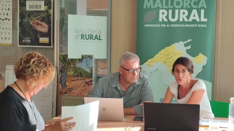 Usos de la lana de la isla en la economía local y circular