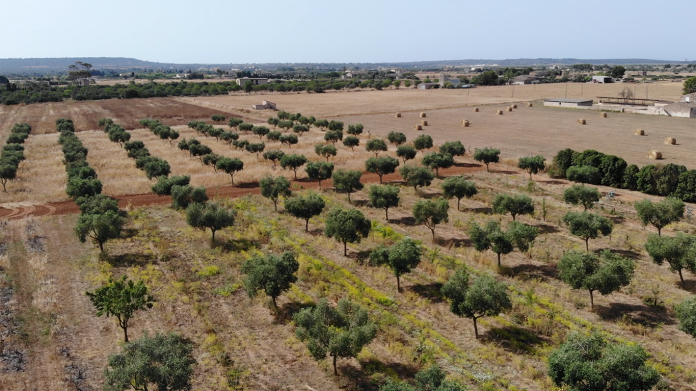 El renacer de la tierra a través de la Permacultura