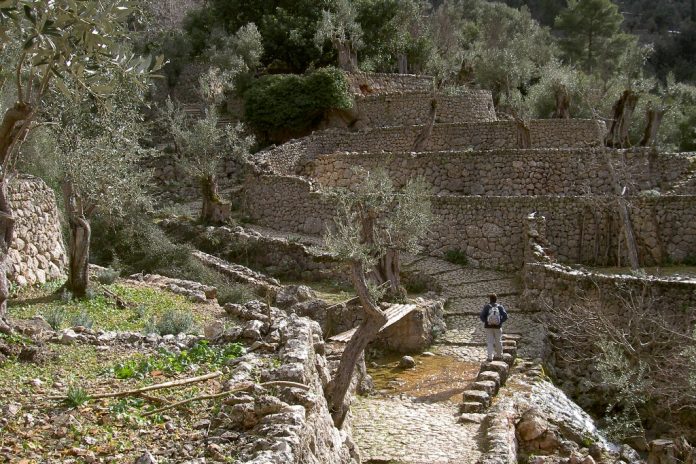 ¿Cómo velar por el patrimonio común de la pedra en sec y el oficio de marger?