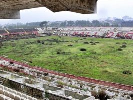 Los terrenos del Lluís Sitjar serán de los palmesanos