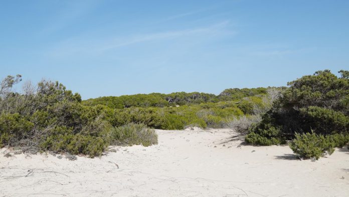 Consulta pública para la elaboración del Plan de Gestión Natura 2000 Costa Sur de Mallorca