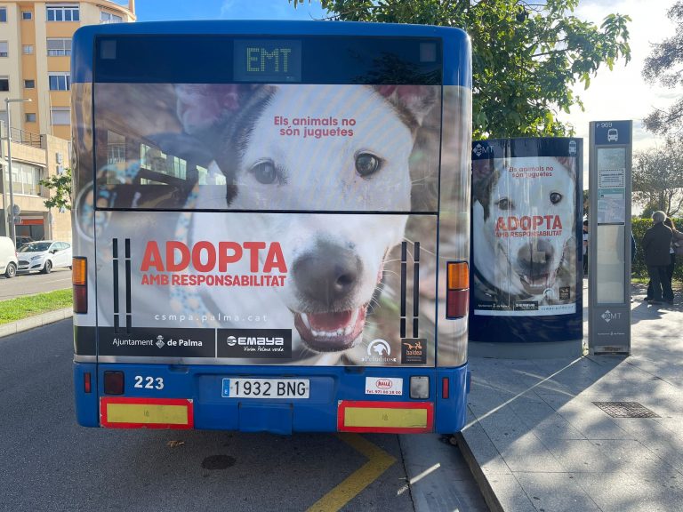 La Campaña "Adopta, con responsabilidad" promueve la adopción responsable