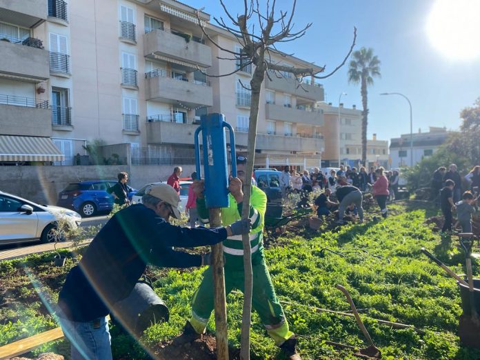 Siembra popular en la calle Aragón