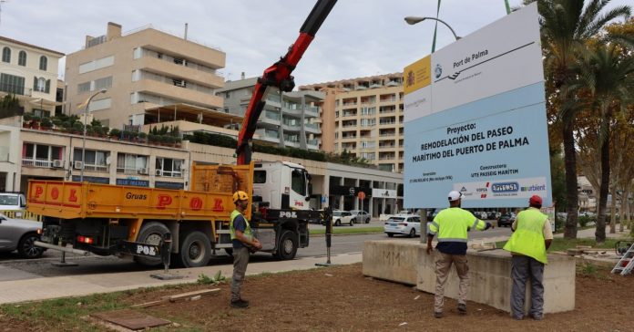 en la zona del paseo Marítimo