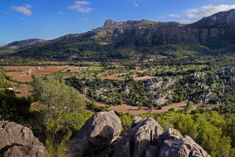 Premios Serra de Tramuntana de investigación