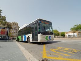 La gratuidad del transporte público se inicia con normalidad en Palma
