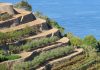 54 millones de euros a los municipios con una convocatoria histórica de ayudas para inversiones programa de dinamización social y económica en tres municipios de la Serra de Tramuntana