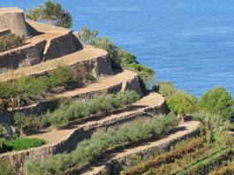 programa de dinamización social y económica en tres municipios de la Serra de Tramuntana