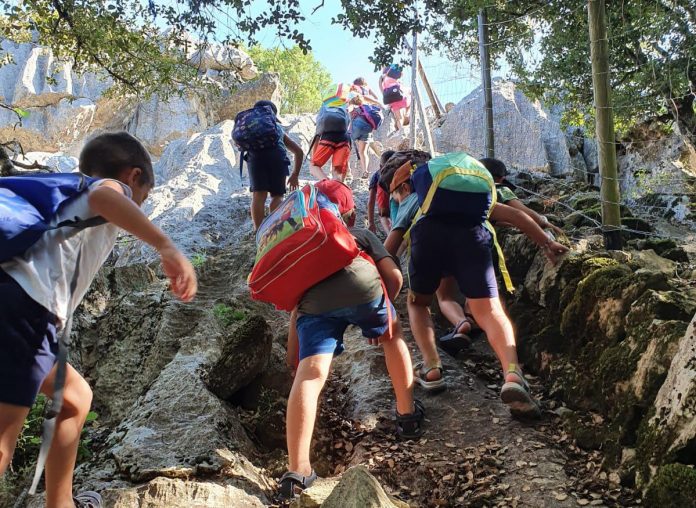 El Consell amplía la oferta de transportes gratuito a la Serra, además de los centros educativos incluye ahora entidades y organizaciones que organicen visitas culturales