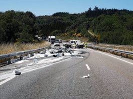 Un total de 25 personas perdieron la vida el año pasado en accidentes de tráfico en las carreteras de Baleares