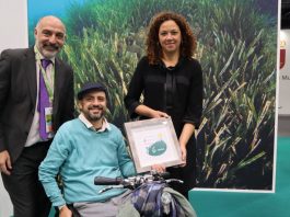 Mallorca, un destino accesible