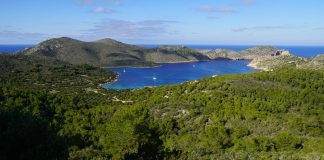 Palma reúne a municipios de toda España para debatir sobre la conservación de los parques nacionales El Parque Nacional de Cabrera se adhiere a la propuesta de creación de una red global de gestores de áreas marinas protegidas