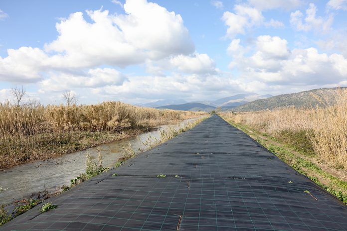 La restauración ambiental del torrente de Siurana permitirá aumentar la aportación de agua al Parque Natural de s’Albufera