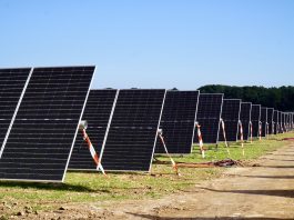El primer parque agrisolar de Baleares permitirá multiplicar por cinco la potencia fotovoltaica de Menorca