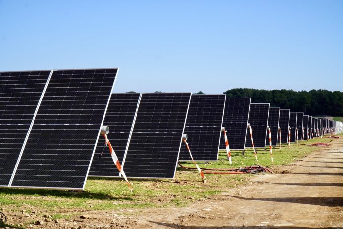 El primer parque agrisolar de Baleares permitirá multiplicar por cinco la potencia fotovoltaica de Menorca