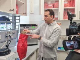 Un total de 25 empresas de las Balears ya se han comprometido a reducir la huella de carbono