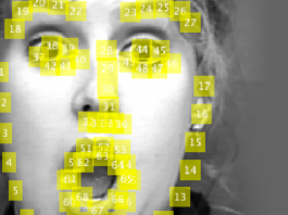 ¿En qué debe fijarse la inteligencia artificial para reconocer mejor las expresiones faciales?
