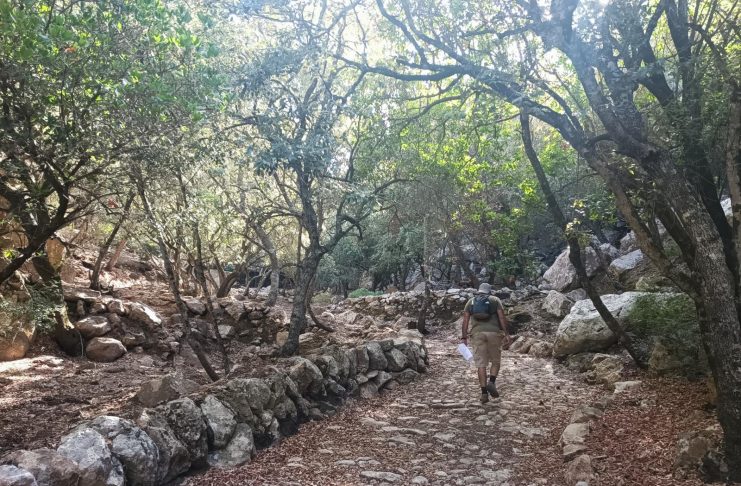 Nueva caminata popular para celebrar la apertura del tramo entre Puigpunyent y Estellencs