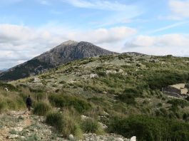 El collado de sa Gremola y la finca pública de Galatzó en la Ruta de Pedra en Sec