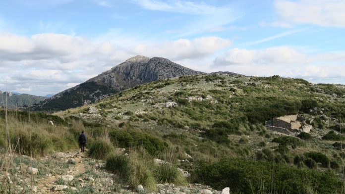 El collado de sa Gremola y la finca pública de Galatzó en la Ruta de Pedra en Sec