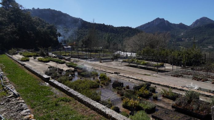 El temporal Juliette ha causado daños por valor de más de 160.000 euros en el Centro forestal de Menut