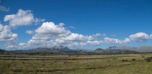 La reserva natural de s'Albufereta cataloga 1.247 especies en el espacio natural protegido