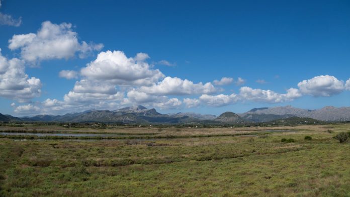 La reserva natural de s'Albufereta cataloga 1.247 especies en el espacio natural protegido