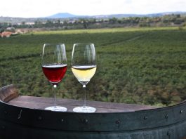 La comercialización de los vinos de calidad crece un 12% respecto de 2021 y logra la cifra histórica de 53 mil hectolitros vendidos