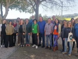 Más de una docena de entidades participan en el primero Innolab de Voluntariado Illes Balears