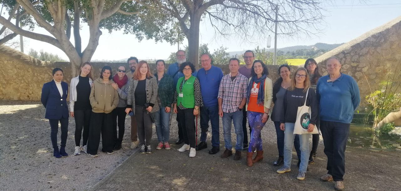 Más de una docena de entidades participan en el primero Innolab de Voluntariado Illes Balears