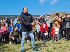 El Parque natural de Llevant amplia sus actividades