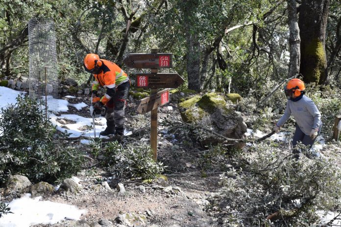 brigadas de voluntarios para volver a abrir las rutas senderistas