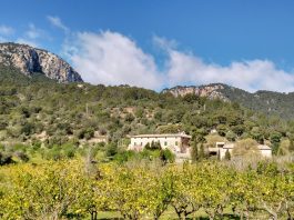 La Ruta de Pedra en Sec incorpora un nuevo itinerario senderista entre Establiments y Esporles