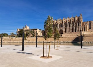 El Parc de la Mar celebrará este sábado el Día de la Accesibilidad Universal con actividades para toda la ciudadanía Abre el público la primera fase de la renovación del Parc de la Mar