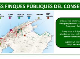 Gestión de fincas públicas para conservar el patrimonio