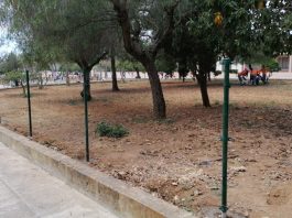 nueva Zona de Ocio Canino en Llucmajor