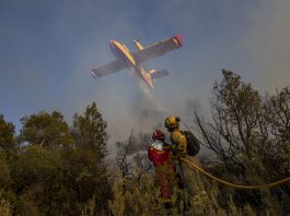 Protección Civil y Emergencias alerta por elevado riesgo de incendios forestales