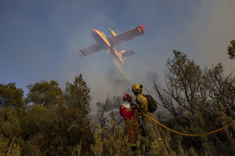 La Conselleria de Agricultura incrementa las ayudas PIFO para la prevención de incendios forestales hasta los 3,6 millones de euros