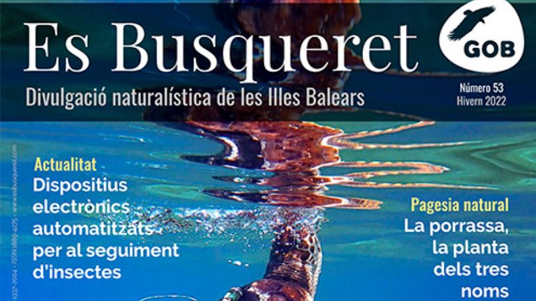 El GOB digitaliza la revista "Es Busqueret"