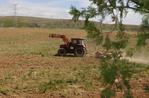 El Gobierno publica la orden de módulos con una rebaja mínima del 25% en el IRPF para 7.700 agricultores y ganaderos de Balears