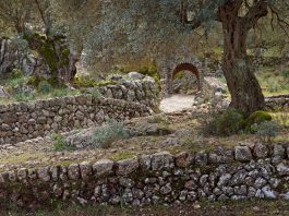 La convocatoria de ayudas ordinarias del Consell en la Serra de Tramuntana estará abierta hasta el 30 de mayo