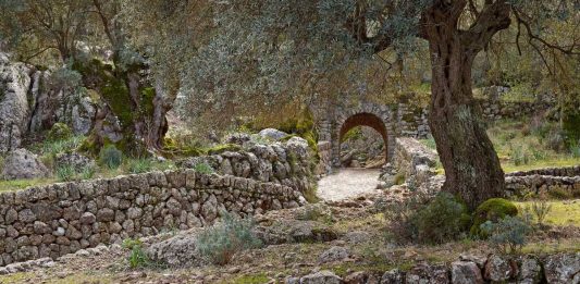 La convocatoria de ayudas ordinarias del Consell en la Serra de Tramuntana estará abierta hasta el 30 de mayo