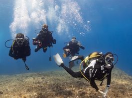 Mallorca Dive Camp 2023