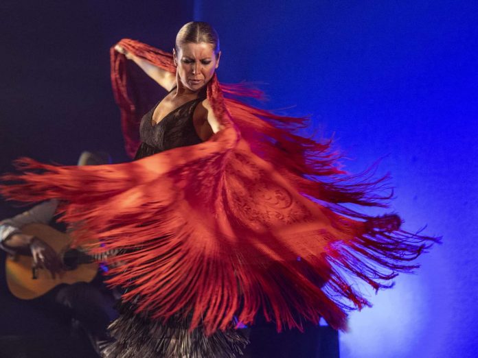 Los mejores espectáculos de flamenco, pop y rock se suman al nuevo ciclo musical de verano de Mallorca Live, 'Es Jardí'