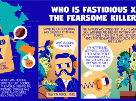 «Fastidious X, the fearsome killer», un cómic europeo para concienciar sobre los riesgos de Xylella fastidiosa