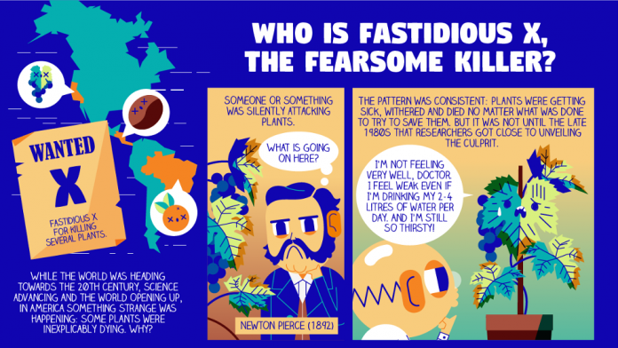 «Fastidious X, the fearsome killer», un cómic europeo para concienciar sobre los riesgos de Xylella fastidiosa
