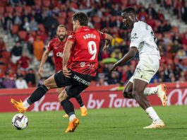 El Consejo colabora con el RCD Mallorca y el Club de Vela Puerto de Andratx en la campaña «Inclusivamente» de deporte adaptado