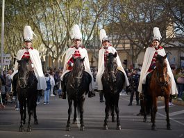 Unitat de la Policia Muntada de Palma