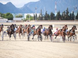 Kiwi Duran y Guillem Andreu, ganadores del 90º Gran Premio Nacional de Trot